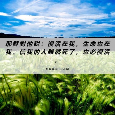 Picture 06 - 約 翰 福 音 11:25 CUVT - 耶 穌 對 他 說 ： 復 活 在 我 ， 生 - Bible Verse Picture