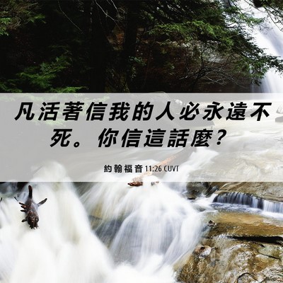Picture 06 - 約 翰 福 音 11:26 CUVT - 凡 活 著 信 我 的 人 必 永 遠 不 死 - Bible Verse Picture