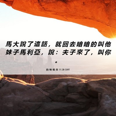 Picture 06 - 約 翰 福 音 11:28 CUVT - 馬 大 說 了 這 話 ， 就 回 去 暗 暗 - Bible Verse Picture