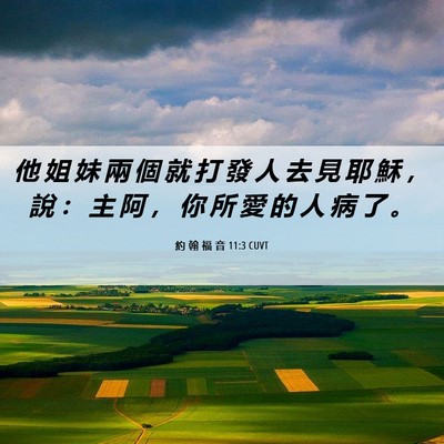 Picture 06 - 約 翰 福 音 11:3 CUVT - 他 姐 妹 兩 個 就 打 發 人 去 見 耶 - Bible Verse Picture