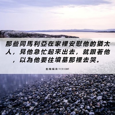 Picture 06 - 約 翰 福 音 11:31 CUVT - 那 些 同 馬 利 亞 在 家 裡 安 慰 他 - Bible Verse Picture