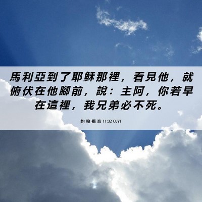 Picture 06 - 約 翰 福 音 11:32 CUVT - 馬 利 亞 到 了 耶 穌 那 裡 ， 看 見 - Bible Verse Picture