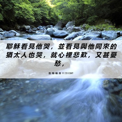 Picture 06 - 約 翰 福 音 11:33 CUVT - 耶 穌 看 見 他 哭 ， 並 看 見 與 他 - Bible Verse Picture