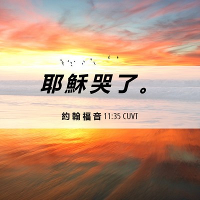 Picture 06 - 約 翰 福 音 11:35 CUVT - 耶 穌 哭 了 - Bible Verse Picture