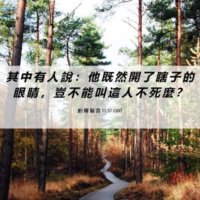 Picture 06 - 約 翰 福 音 11:37 CUVT - 其 中 有 人 說 ： 他 既 然 開 了 瞎 - Bible Verse Picture