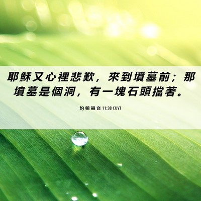 Picture 06 - 約 翰 福 音 11:38 CUVT - 耶 穌 又 心 裡 悲 歎 ， 來 到 墳 墓 - Bible Verse Picture