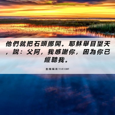 Picture 06 - 約 翰 福 音 11:41 CUVT - 他 們 就 把 石 頭 挪 開 。 耶 穌 舉 - Bible Verse Picture