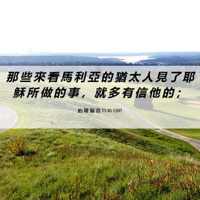 Picture 06 - 約 翰 福 音 11:45 CUVT - 那 些 來 看 馬 利 亞 的 猶 太 人 見 - Bible Verse Picture