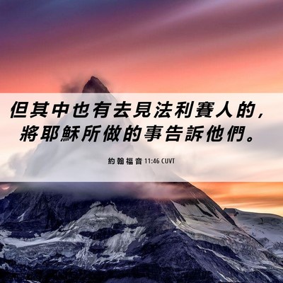 Picture 06 - 約 翰 福 音 11:46 CUVT - 但 其 中 也 有 去 見 法 利 賽 人 的 - Bible Verse Picture