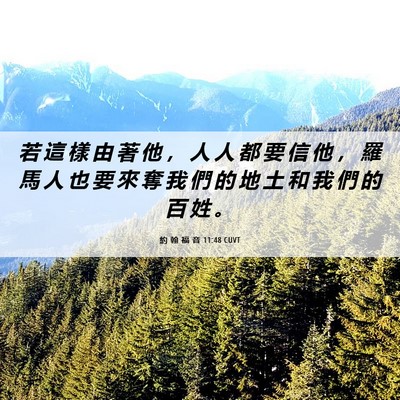 Picture 06 - 約 翰 福 音 11:48 CUVT - 若 這 樣 由 著 他 ， 人 人 都 要 信 - Bible Verse Picture