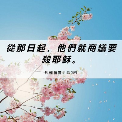 Picture 06 - 約 翰 福 音 11:53 CUVT - 從 那 日 起 ， 他 們 就 商 議 要 殺 - Bible Verse Picture