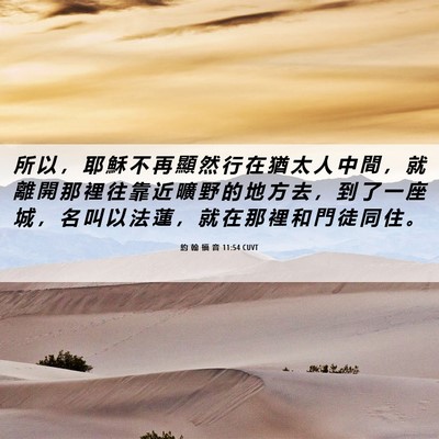 Picture 06 - 約 翰 福 音 11:54 CUVT - 所 以 ， 耶 穌 不 再 顯 然 行 在 猶 - Bible Verse Picture