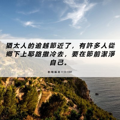 Picture 06 - 約 翰 福 音 11:55 CUVT - 猶 太 人 的 逾 越 節 近 了 ， 有 許 - Bible Verse Picture