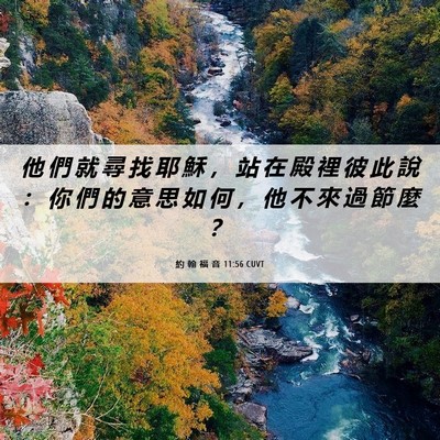 Picture 06 - 約 翰 福 音 11:56 CUVT - 他 們 就 尋 找 耶 穌 ， 站 在 殿 裡 - Bible Verse Picture