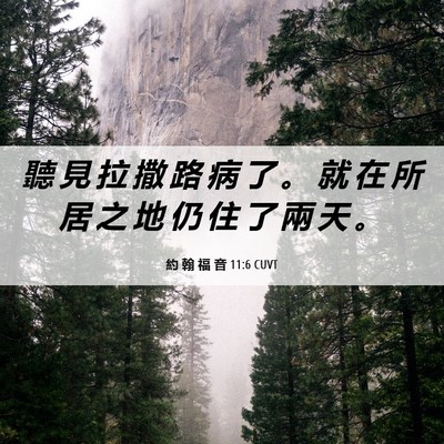 Picture 06 - 約 翰 福 音 11:6 CUVT - 聽 見 拉 撒 路 病 了 。 就 在 所 居 - Bible Verse Picture