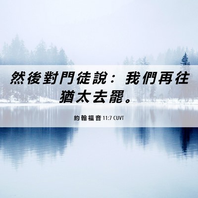 Picture 06 - 約 翰 福 音 11:7 CUVT - 然 後 對 門 徒 說 ： 我 們 再 往 猶 - Bible Verse Picture