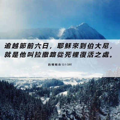 Picture 06 - 約 翰 福 音 12:1 CUVT - 逾 越 節 前 六 日 ， 耶 穌 來 到 伯 - Bible Verse Picture