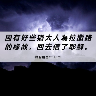 Picture 06 - 約 翰 福 音 12:11 CUVT - 因 有 好 些 猶 太 人 為 拉 撒 路 的 - Bible Verse Picture
