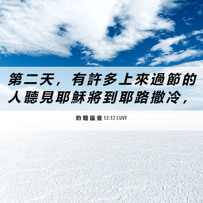 Picture 06 - 約 翰 福 音 12:12 CUVT - 第 二 天 ， 有 許 多 上 來 過 節 的 - Bible Verse Picture