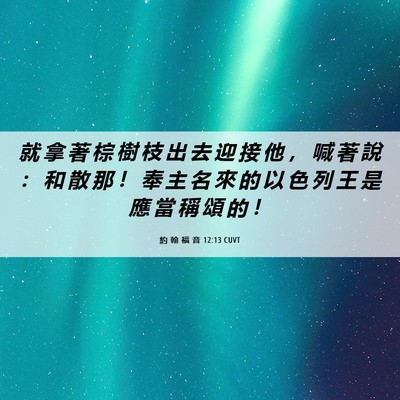 Picture 06 - 約 翰 福 音 12:13 CUVT - 就 拿 著 棕 樹 枝 出 去 迎 接 他 ， - Bible Verse Picture