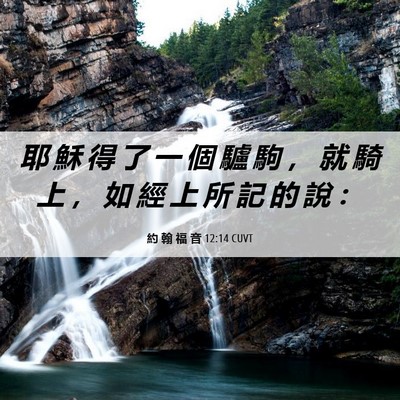 Picture 06 - 約 翰 福 音 12:14 CUVT - 耶 穌 得 了 一 個 驢 駒 ， 就 騎 上 - Bible Verse Picture