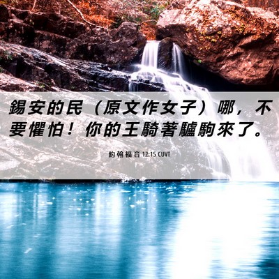 Picture 06 - 約 翰 福 音 12:15 CUVT - 錫 安 的 民 （ 原 文 作 女 子 ） 哪 - Bible Verse Picture