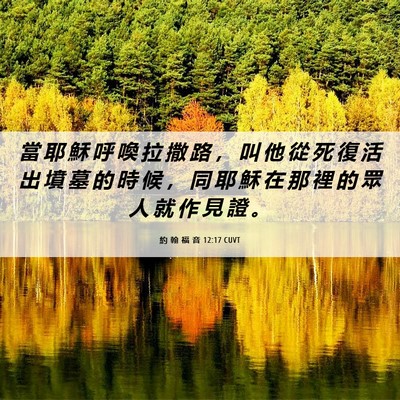 Picture 06 - 約 翰 福 音 12:17 CUVT - 當 耶 穌 呼 喚 拉 撒 路 ， 叫 他 從 - Bible Verse Picture