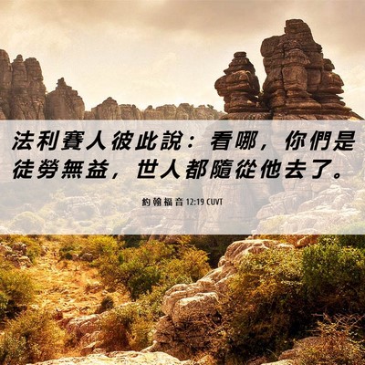 Picture 06 - 約 翰 福 音 12:19 CUVT - 法 利 賽 人 彼 此 說 ： 看 哪 ， 你 - Bible Verse Picture