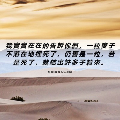 Picture 06 - 約 翰 福 音 12:24 CUVT - 我 實 實 在 在 的 告 訴 你 們 ， 一 - Bible Verse Picture