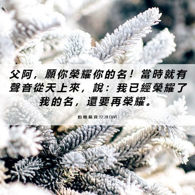 Picture 06 - 約 翰 福 音 12:28 CUVT - 父 阿 ， 願 你 榮 耀 你 的 名 ！ 當 - Bible Verse Picture
