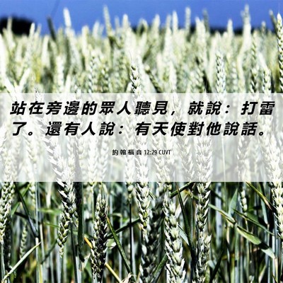 Picture 06 - 約 翰 福 音 12:29 CUVT - 站 在 旁 邊 的 眾 人 聽 見 ， 就 說 - Bible Verse Picture