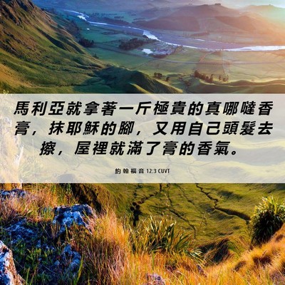 Picture 06 - 約 翰 福 音 12:3 CUVT - 馬 利 亞 就 拿 著 一 斤 極 貴 的 真 - Bible Verse Picture