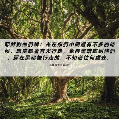 Picture 06 - 約 翰 福 音 12:35 CUVT - 耶 穌 對 他 們 說 ： 光 在 你 們 中 - Bible Verse Picture