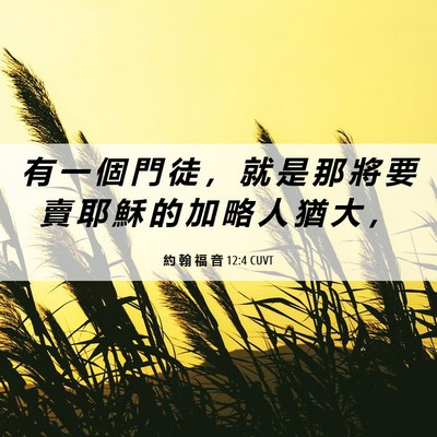 Picture 06 - 約 翰 福 音 12:4 CUVT - 有 一 個 門 徒 ， 就 是 那 將 要 賣 - Bible Verse Picture