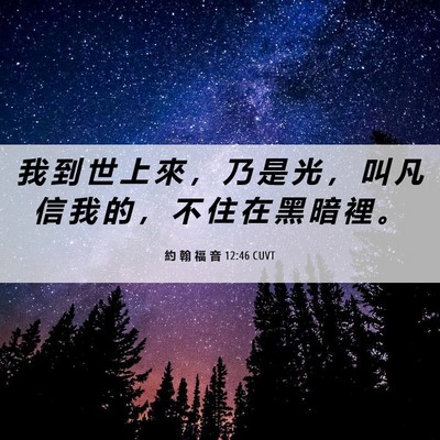 Picture 06 - 約 翰 福 音 12:46 CUVT - 我 到 世 上 來 ， 乃 是 光 ， 叫 凡 - Bible Verse Picture