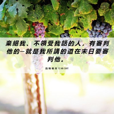 Picture 06 - 約 翰 福 音 12:48 CUVT - 棄 絕 我 、 不 領 受 我 話 的 人 ， - Bible Verse Picture