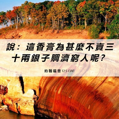 Picture 06 - 約 翰 福 音 12:5 CUVT - 說 ： 這 香 膏 為 甚 麼 不 賣 三 十 - Bible Verse Picture