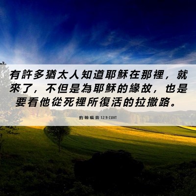 Picture 06 - 約 翰 福 音 12:9 CUVT - 有 許 多 猶 太 人 知 道 耶 穌 在 那 - Bible Verse Picture