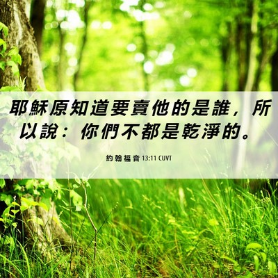 Picture 06 - 約 翰 福 音 13:11 CUVT - 耶 穌 原 知 道 要 賣 他 的 是 誰 ， - Bible Verse Picture