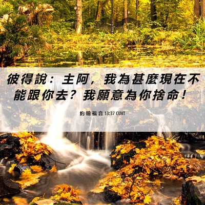 Picture 06 - 約 翰 福 音 13:37 CUVT - 彼 得 說 ： 主 阿 ， 我 為 甚 麼 現 - Bible Verse Picture