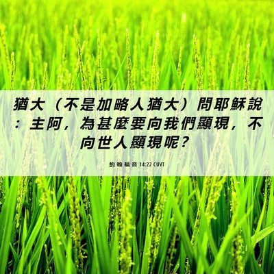 Picture 06 - 約 翰 福 音 14:22 CUVT - 猶 大 （ 不 是 加 略 人 猶 大 ） 問 - Bible Verse Picture