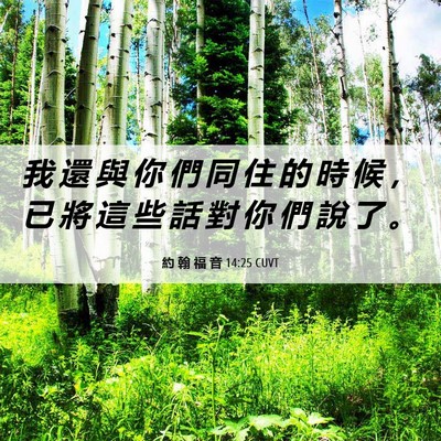 Picture 06 - 約 翰 福 音 14:25 CUVT - 我 還 與 你 們 同 住 的 時 候 ， 已 - Bible Verse Picture