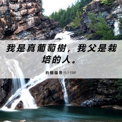 Picture 06 - 約 翰 福 音 15:1 CUVT - 我 是 真 葡 萄 樹 ， 我 父 是 栽 培 - Bible Verse Picture