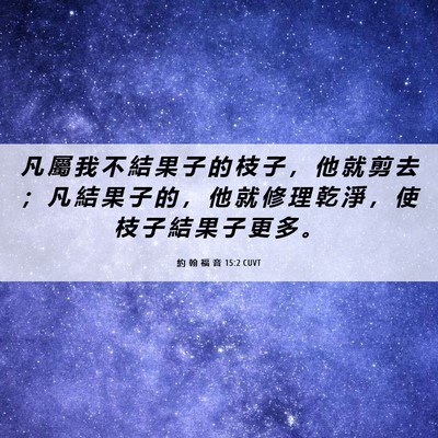 Picture 06 - 約 翰 福 音 15:2 CUVT - 凡 屬 我 不 結 果 子 的 枝 子 ， 他 - Bible Verse Picture