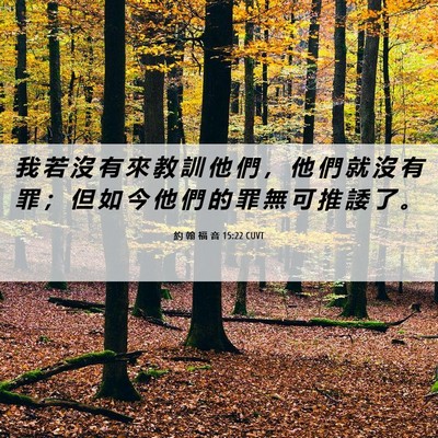 Picture 06 - 約 翰 福 音 15:22 CUVT - 我 若 沒 有 來 教 訓 他 們 ， 他 們 - Bible Verse Picture