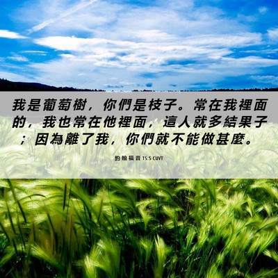 Picture 06 - 約 翰 福 音 15:5 CUVT - 我 是 葡 萄 樹 ， 你 們 是 枝 子 。 - Bible Verse Picture