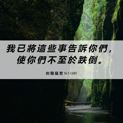 Picture 06 - 約 翰 福 音 16:1 CUVT - 我 已 將 這 些 事 告 訴 你 們 ， 使 - Bible Verse Picture
