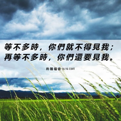 Picture 06 - 約 翰 福 音 16:16 CUVT - 等 不 多 時 ， 你 們 就 不 得 見 我 - Bible Verse Picture