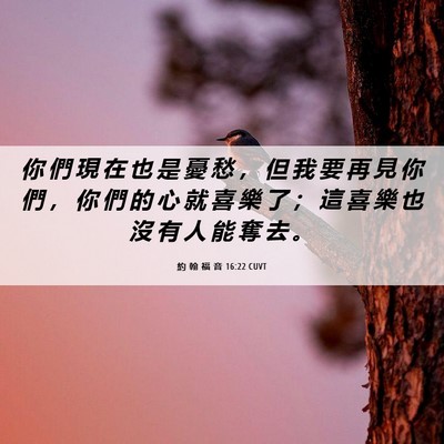 Picture 06 - 約 翰 福 音 16:22 CUVT - 你 們 現 在 也 是 憂 愁 ， 但 我 要 - Bible Verse Picture