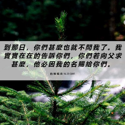 Picture 06 - 約 翰 福 音 16:23 CUVT - 到 那 日 ， 你 們 甚 麼 也 就 不 問 - Bible Verse Picture
